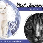 猫巡り – Cat Journeys –